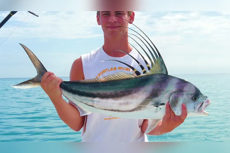 Roosterfish (Nematistius pectoralis) in Seitenansicht