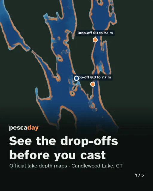 Social-Grafik "See the drop-offs before you cast"